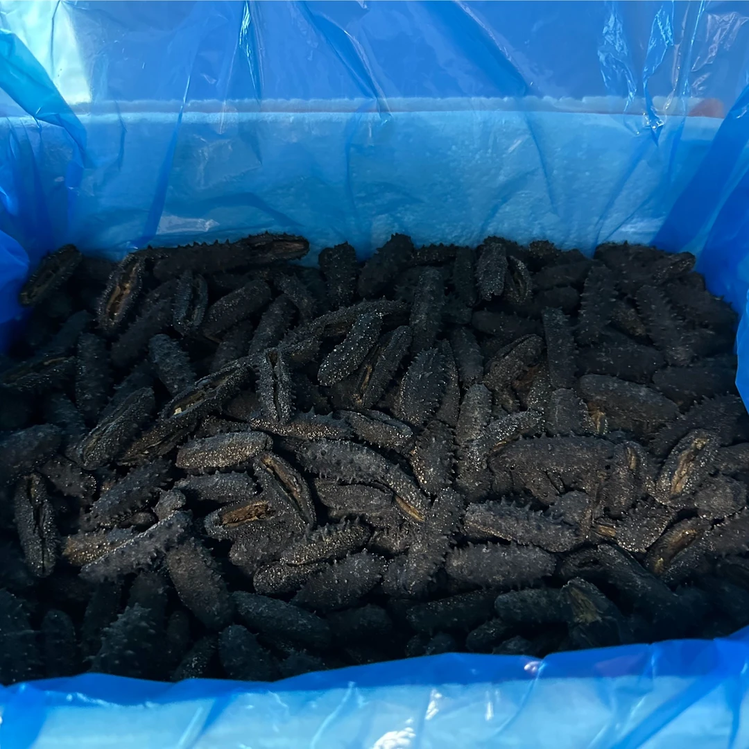 【宝洋行】60头纯淡干大连辽参