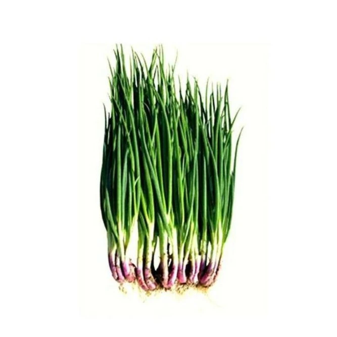 香葱50g