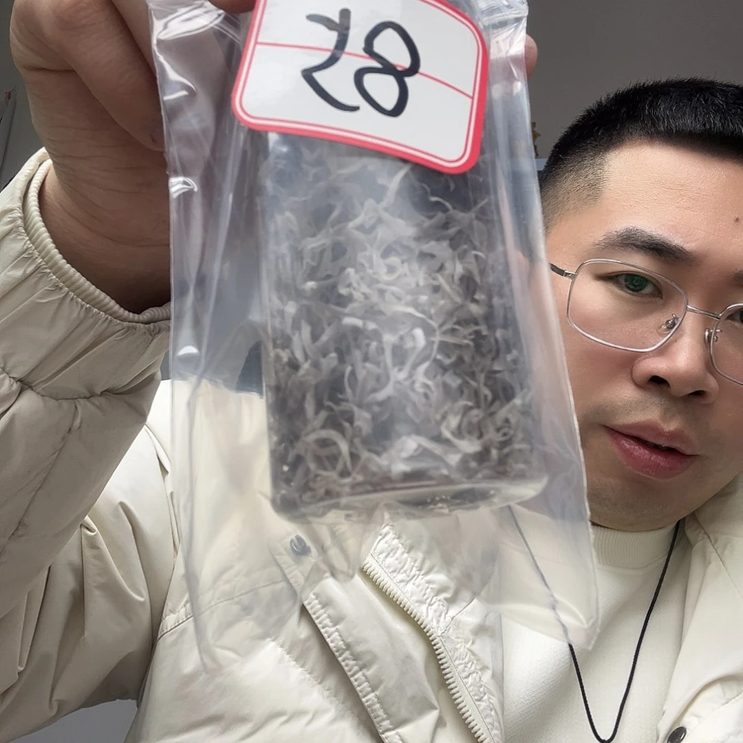 橄榄核手串/手链工艺品85