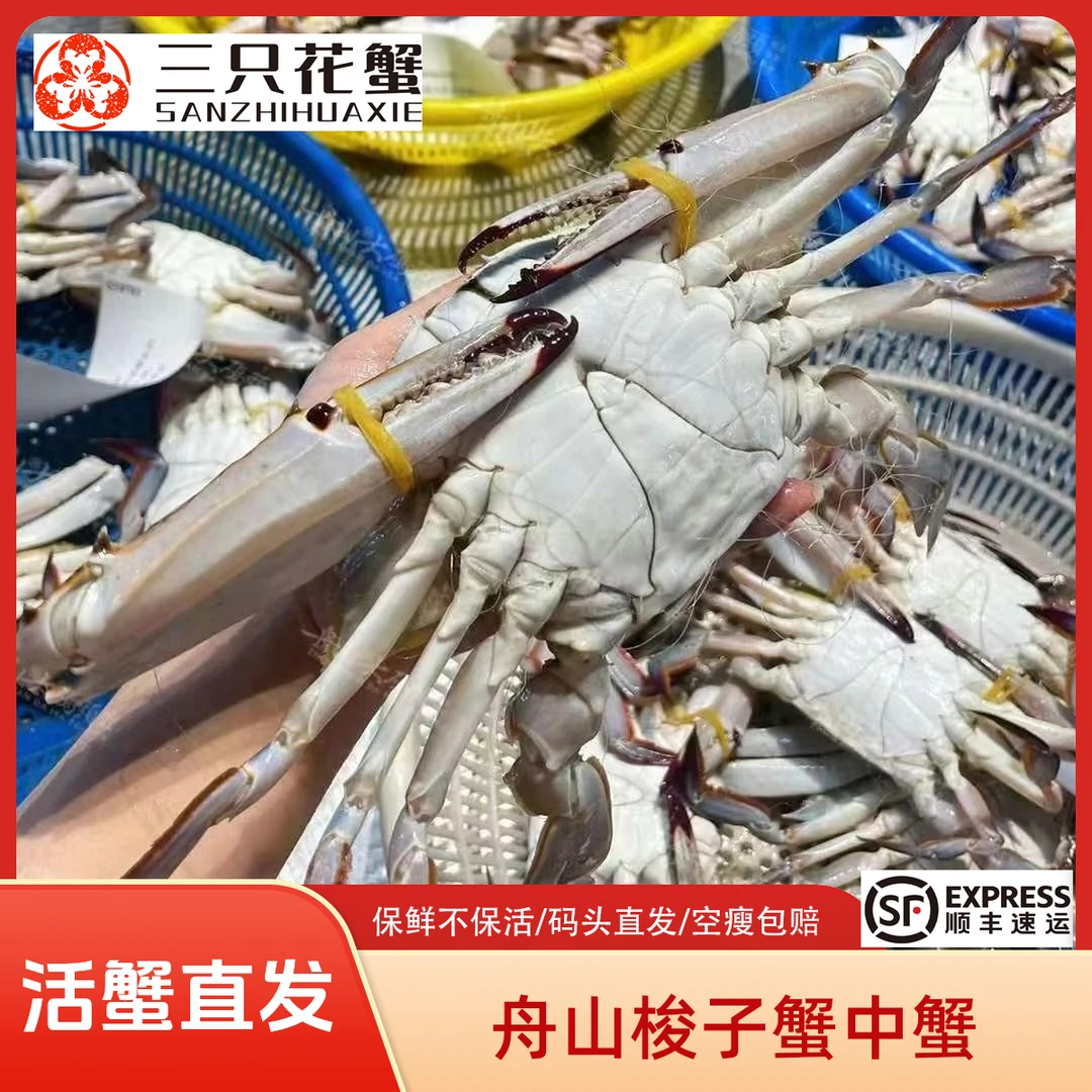 【鲜活/保鲜不保活】舟山梭子蟹3斤单只3-5两约7-9只