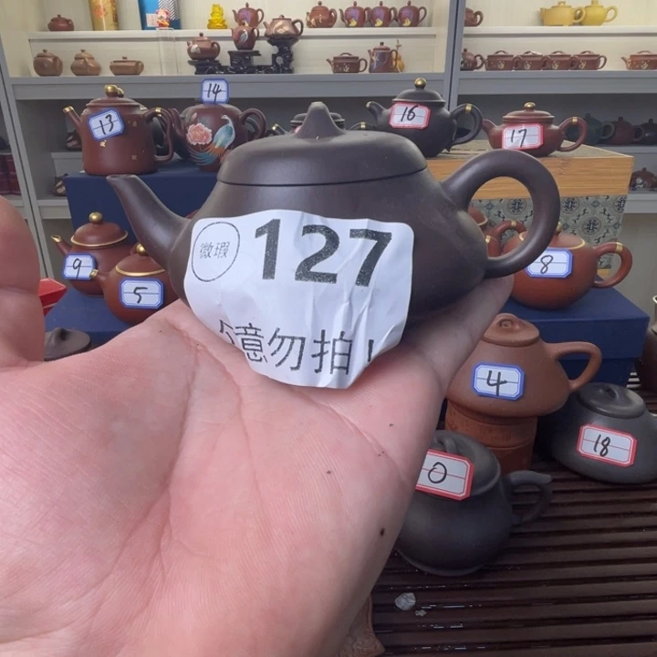 紫砂茶壶哦哦哦哦哦哟哟哟