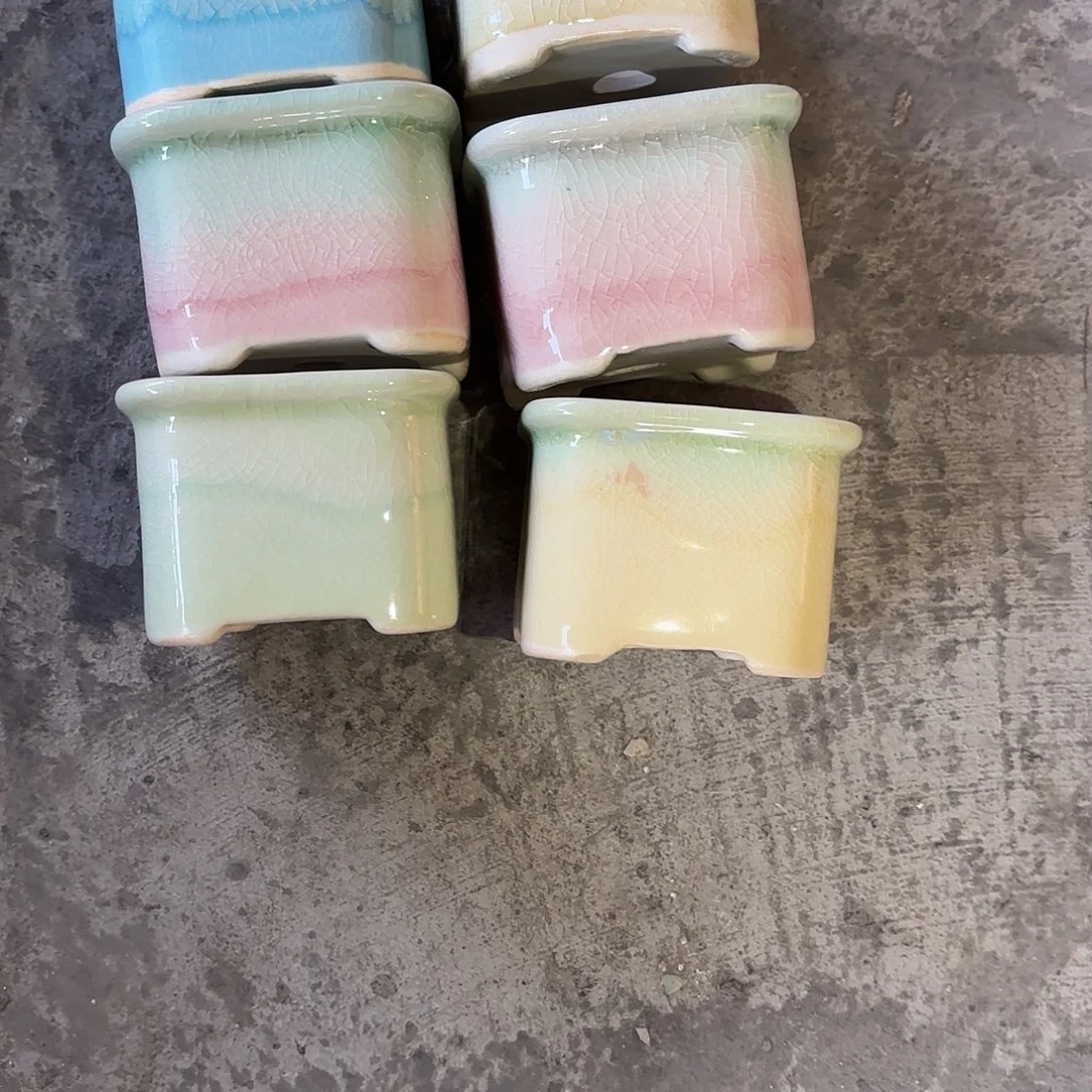 宿***！量货/5口高深浅搭配发6