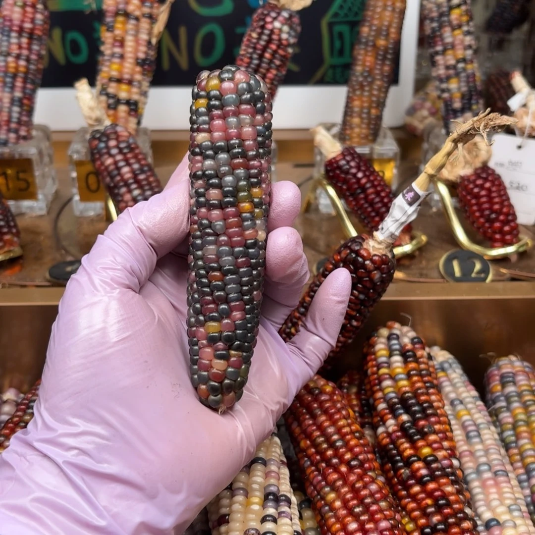 柏香籽/百香籽吊坠小***8