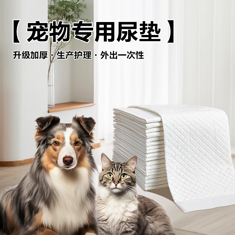 两只狗熊宠物专用尿垫宠物生产垫除臭大吸量隔尿垫防滑防尿多功能