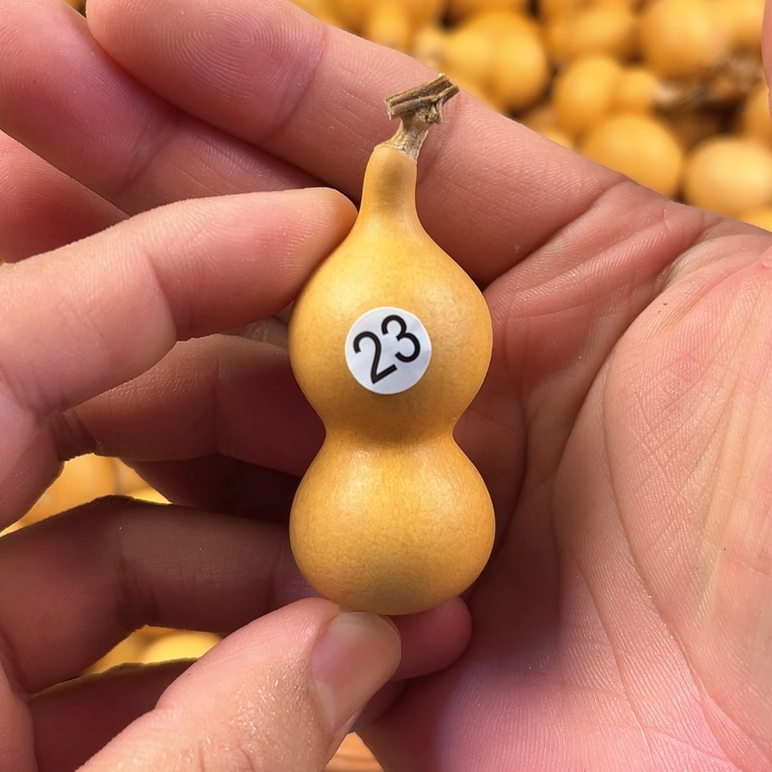 四葫芦葫芦葫芦葫芦23