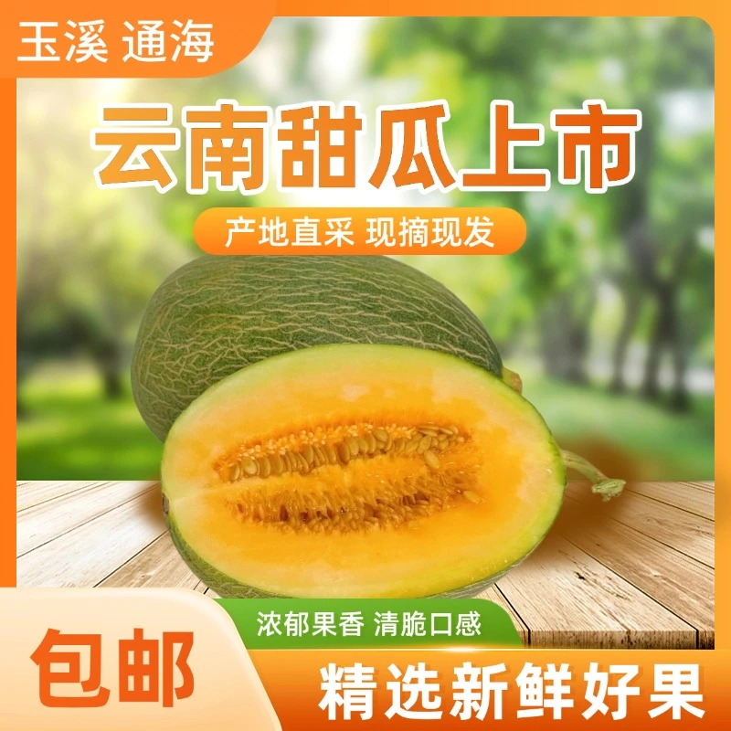 云南高山哈密瓜应季甜瓜新鲜采摘发货带箱9-10斤装