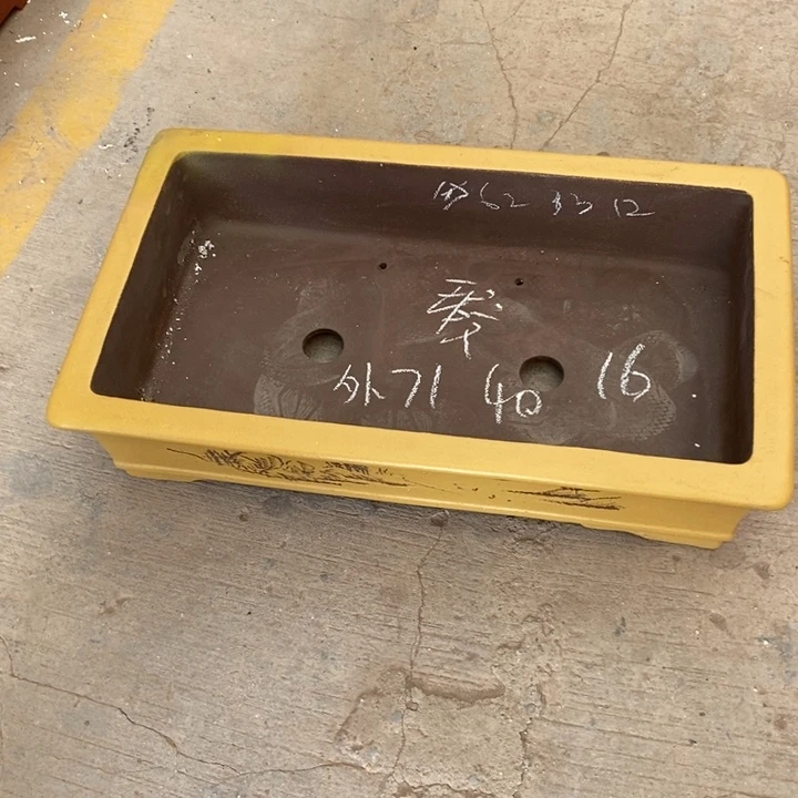 花盆紫砂只顾看手机的