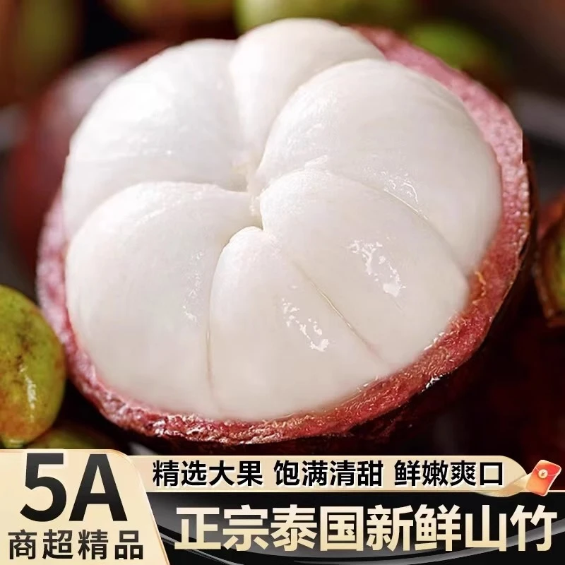 现摘包邮 泰国进口山竹3-5A级大果 当季新鲜热带水果 白嫩多汁