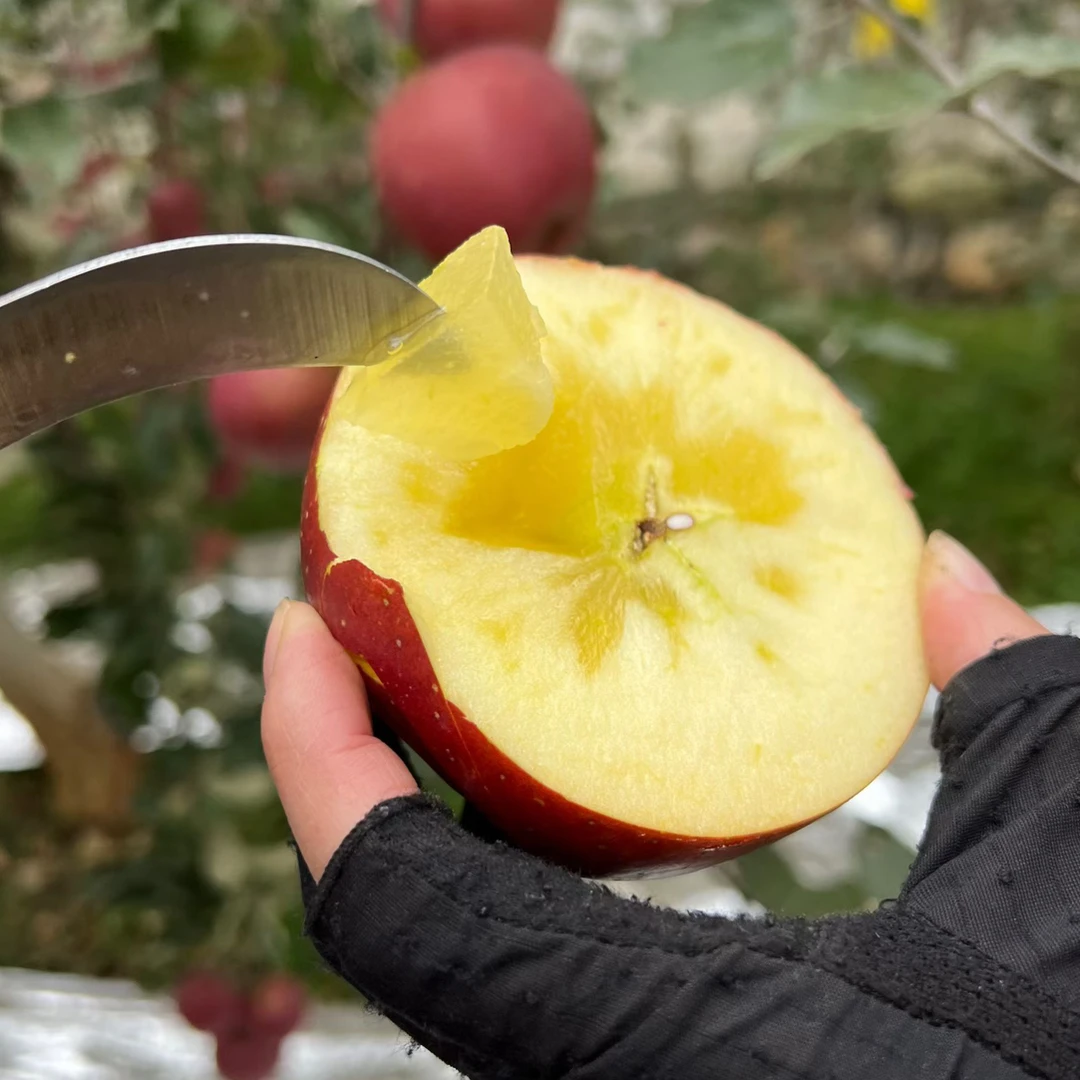 正宗云南昭通洒渔糖心丑苹果自家种植新鲜采摘脆甜多汁