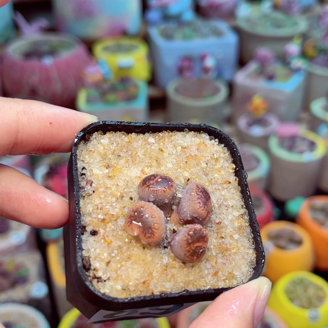 891。88888888888888