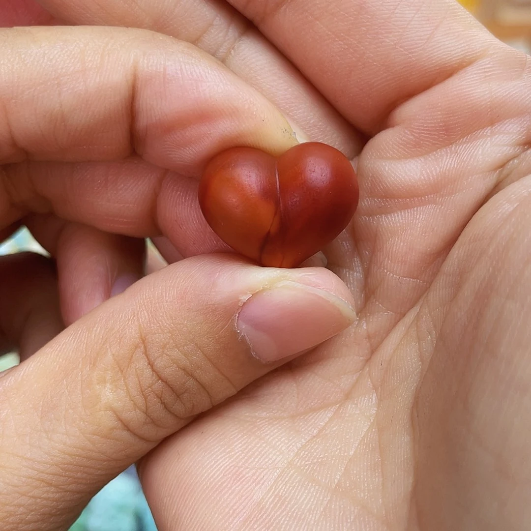 南红玛瑙未镶嵌吊坠(不含链)