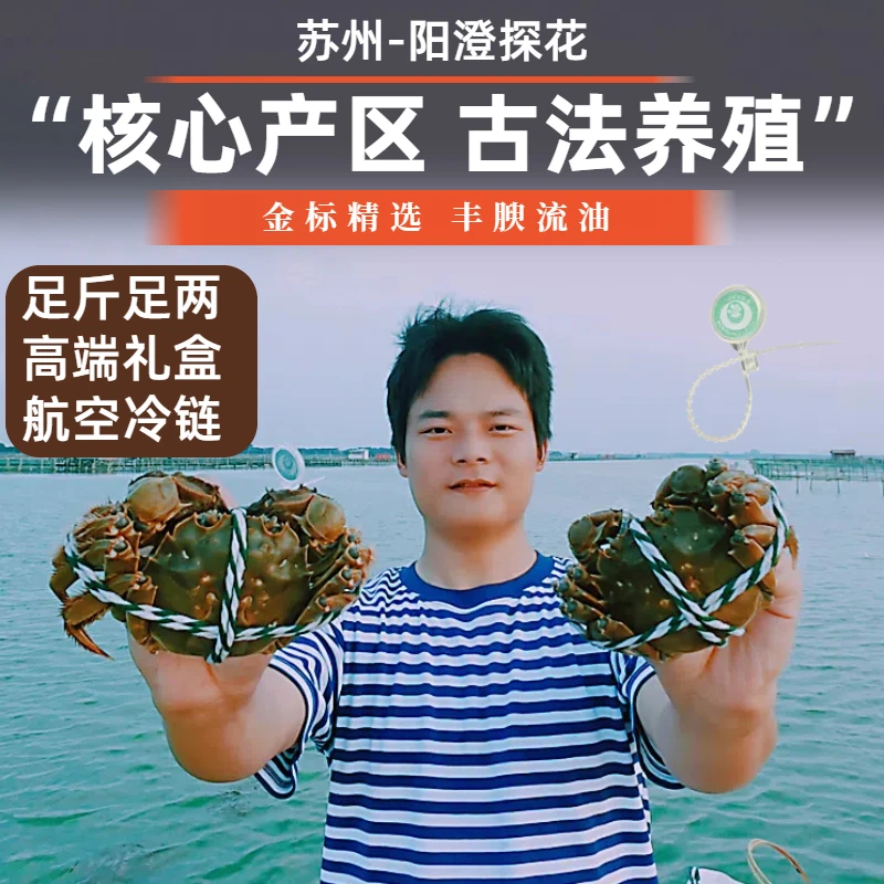 【活蟹】阳澄探花核心产区河蟹 全母2.8-2.5两 送2共10只蟹扣