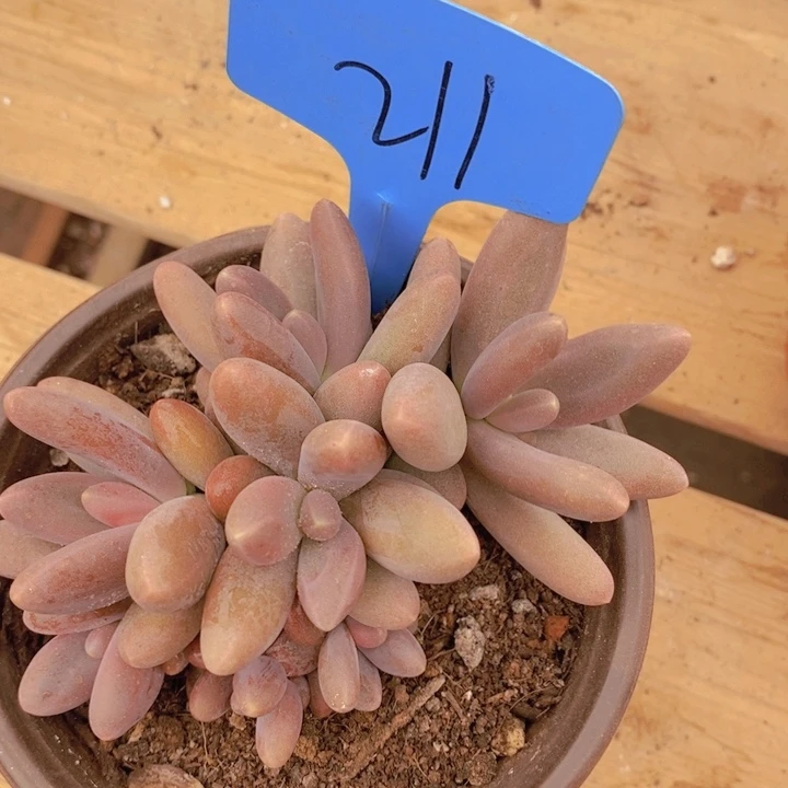 在家里面我一晚上