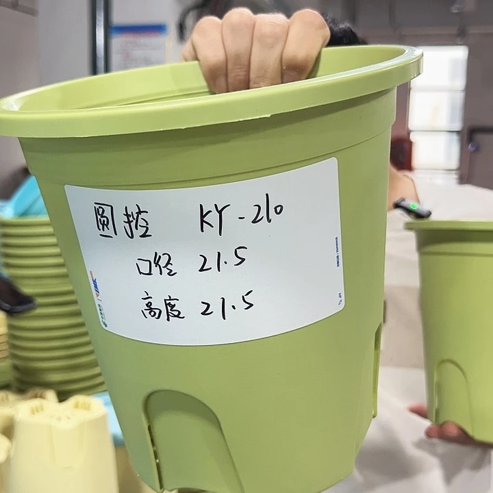 特价圆控口21高21果绿无托5只
