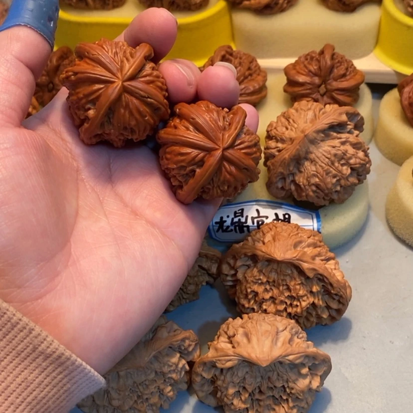 【闪购商品】珍***天h h g g vvvvvv55556