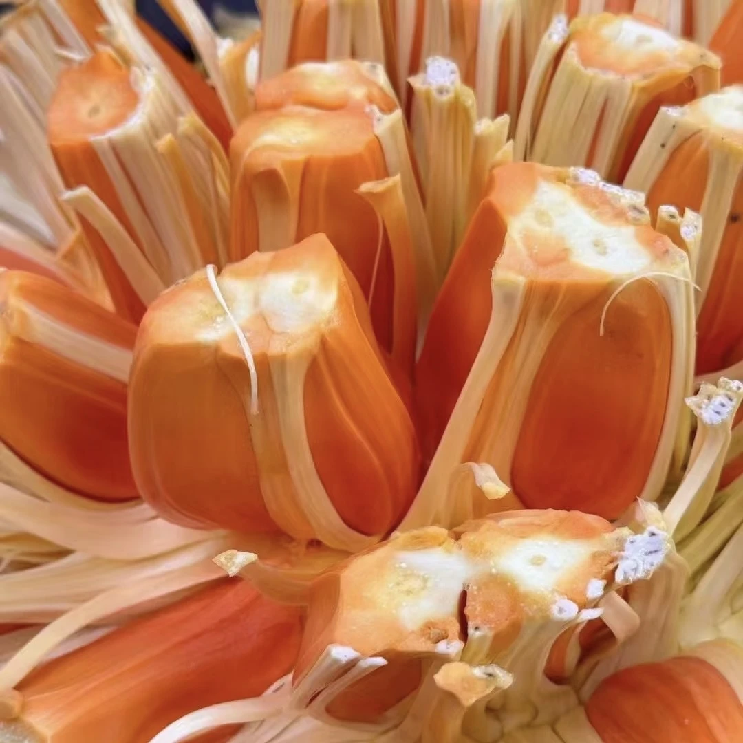 【印尼红肉菠萝蜜12-14】整颗果  默认去芯 发整果请备注