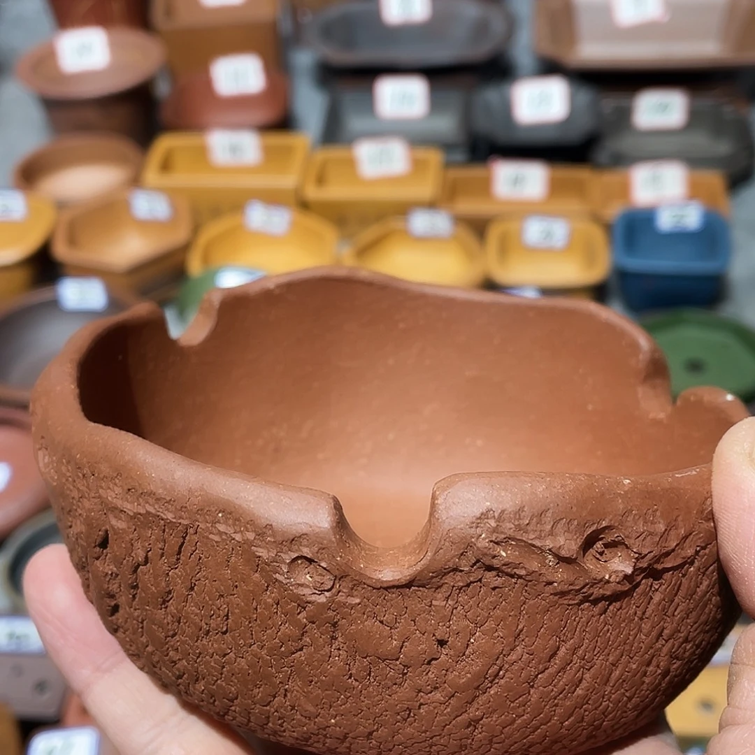 紫砂小盆11.5*4.5cmmm