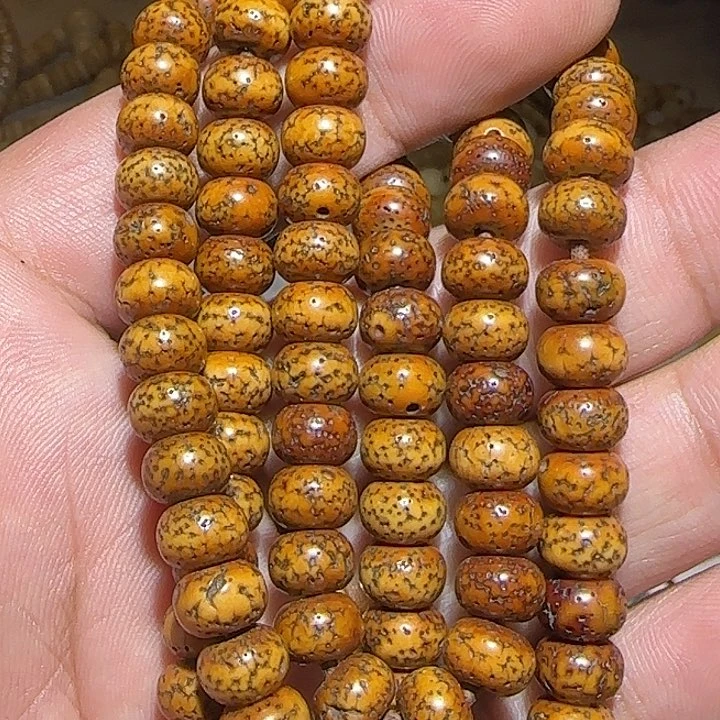 藏区老星月念珠保老