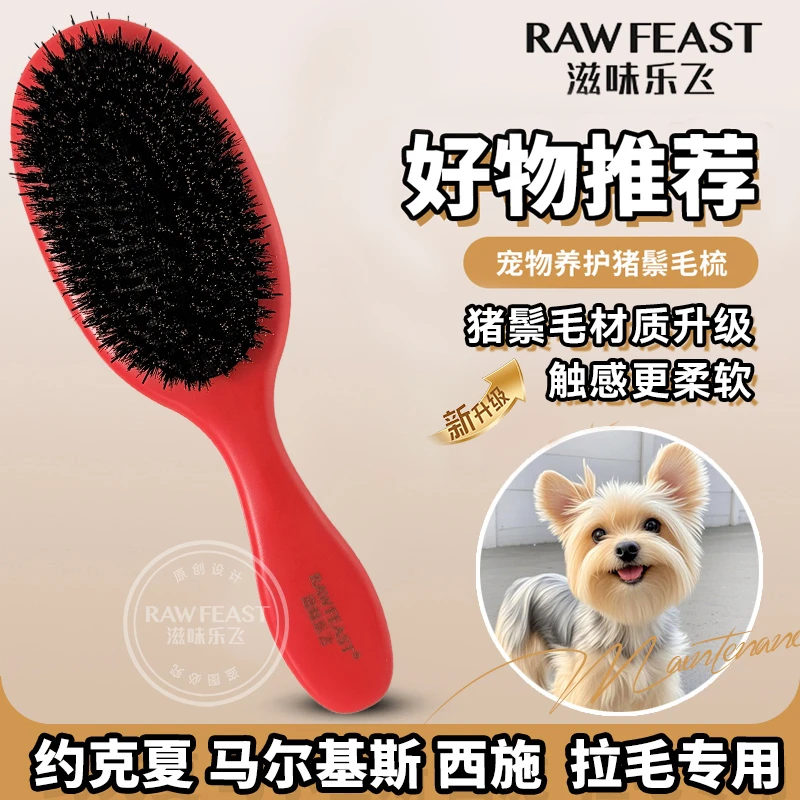 滋味乐飞狗狗猫咪日常拉毛猪鬃毛专业柄梳约马西猫咪专用