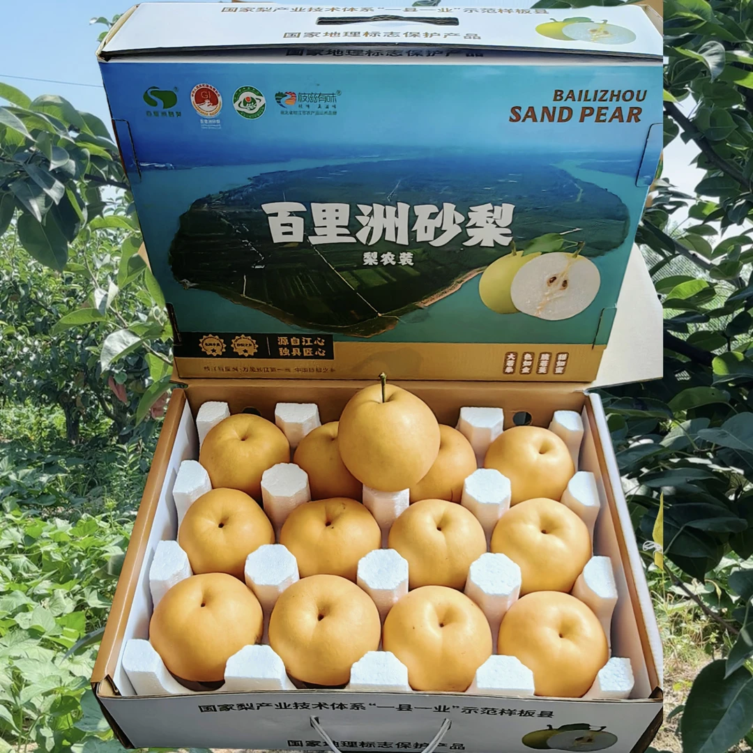 【正宗百里洲砂梨礼盒装】圆黄砂梨黄皮甜脆大果礼盒装翠冠梨