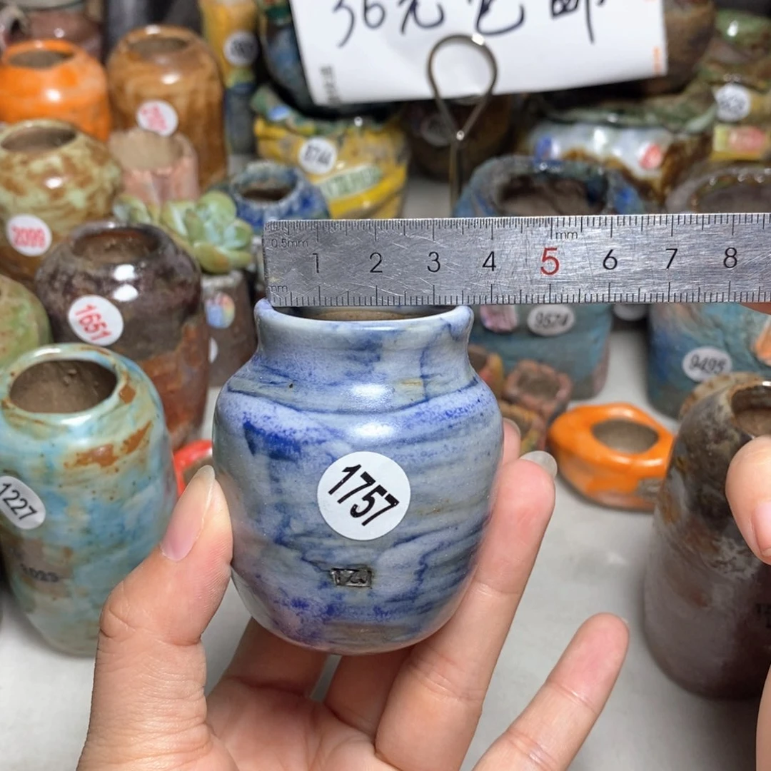 拍5送一个小礼物