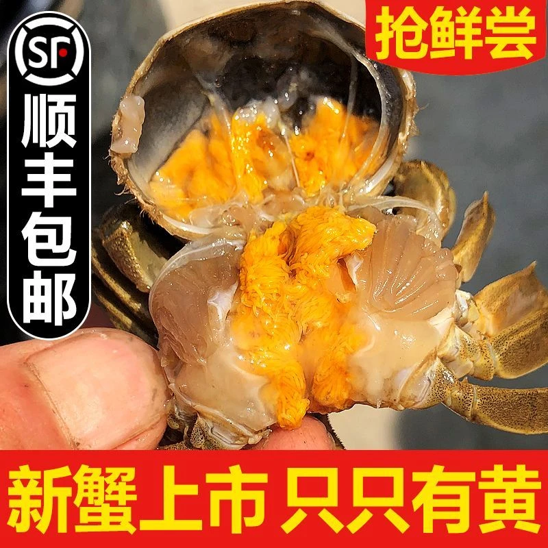 （2.4-2.8两/只）*10只螃蟹1250g顺丰冷链次日达蟹同城配送