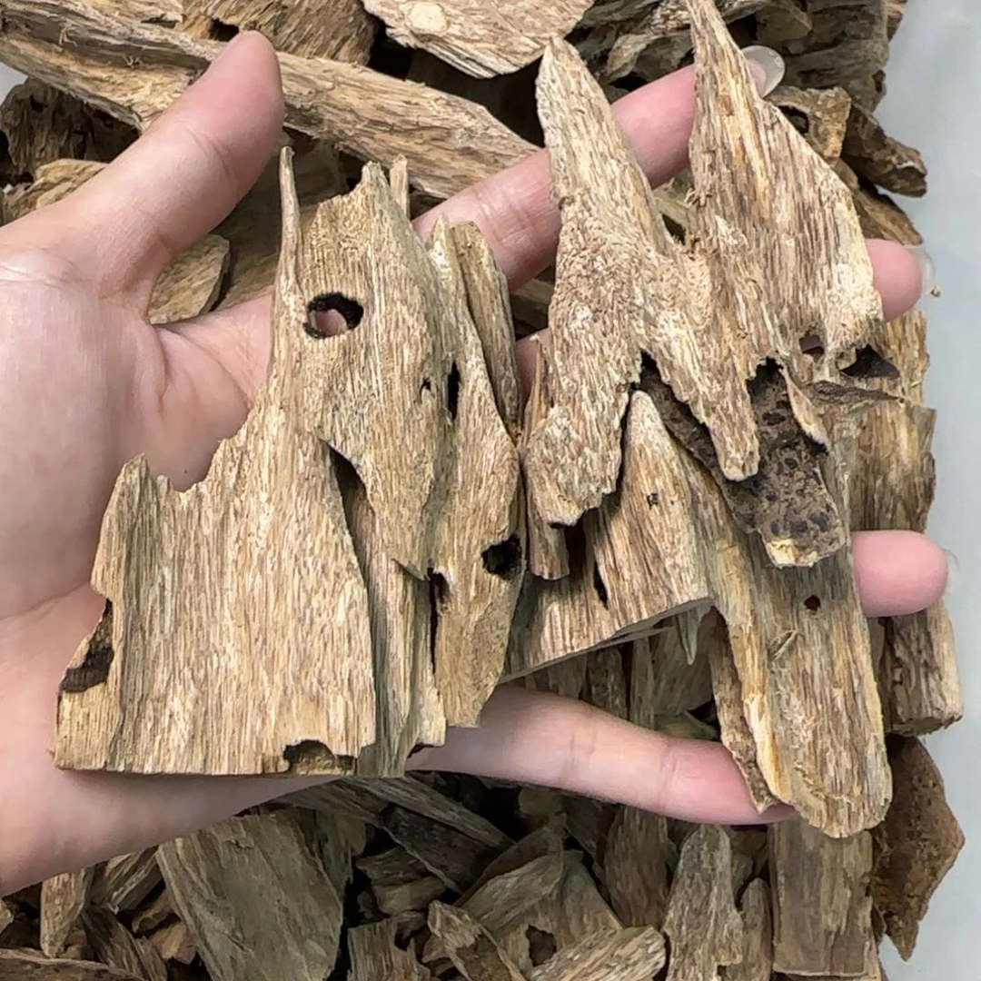 香榧木海南虫漏碎料30克