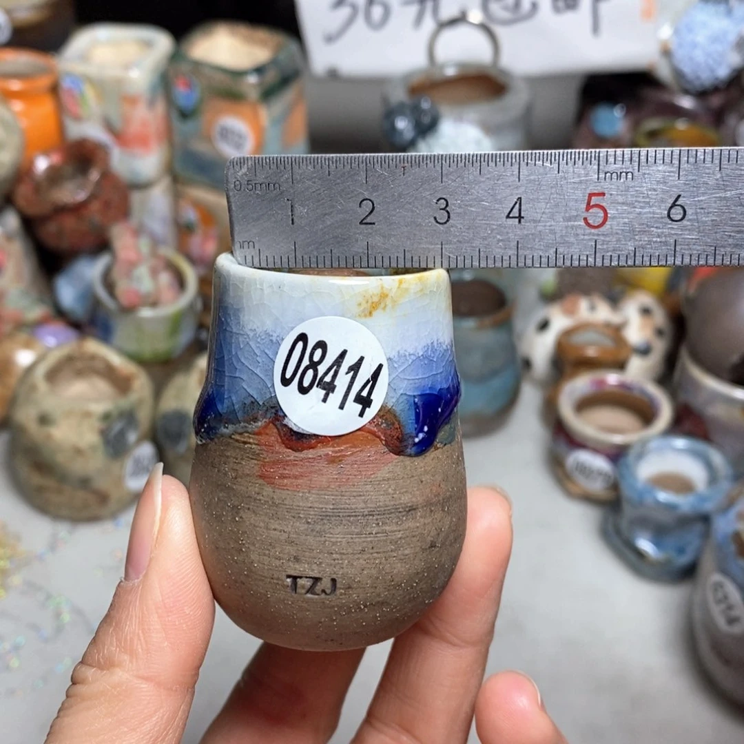 花盆拍5送一个小礼物