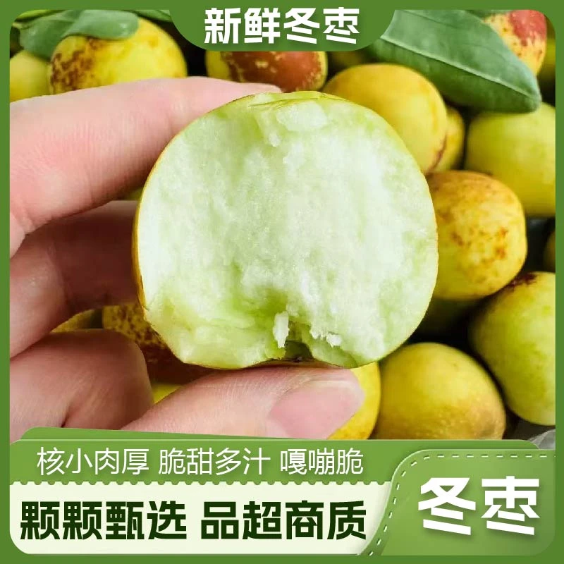 大冬枣现摘现发脆甜多汁当季新鲜水果皮薄酸甜正宗山西大冬枣