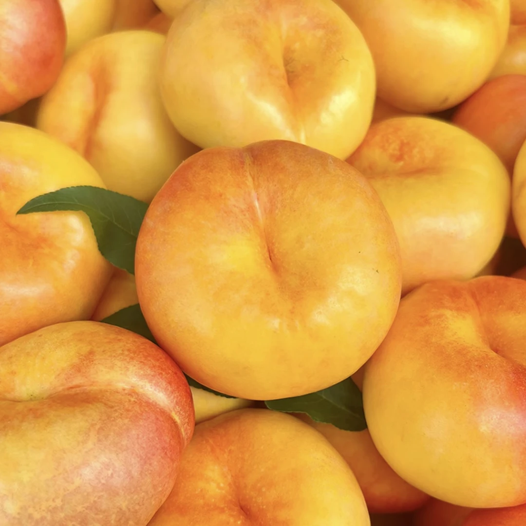 沂蒙山蒙阴蜜桃新鲜紫霞彩虹油蟠桃稀有品种脆甜爽口