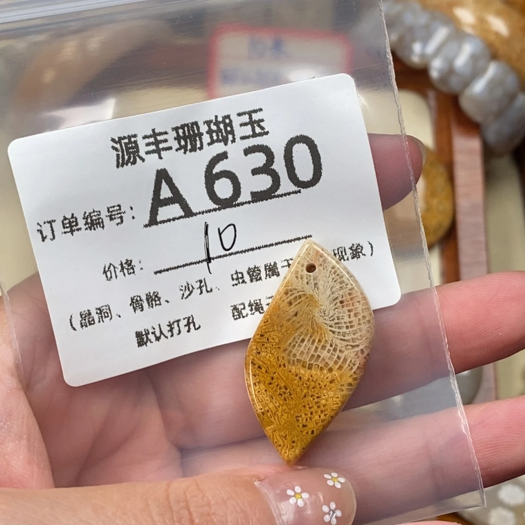 X***姨未镶嵌颈饰硅化玉