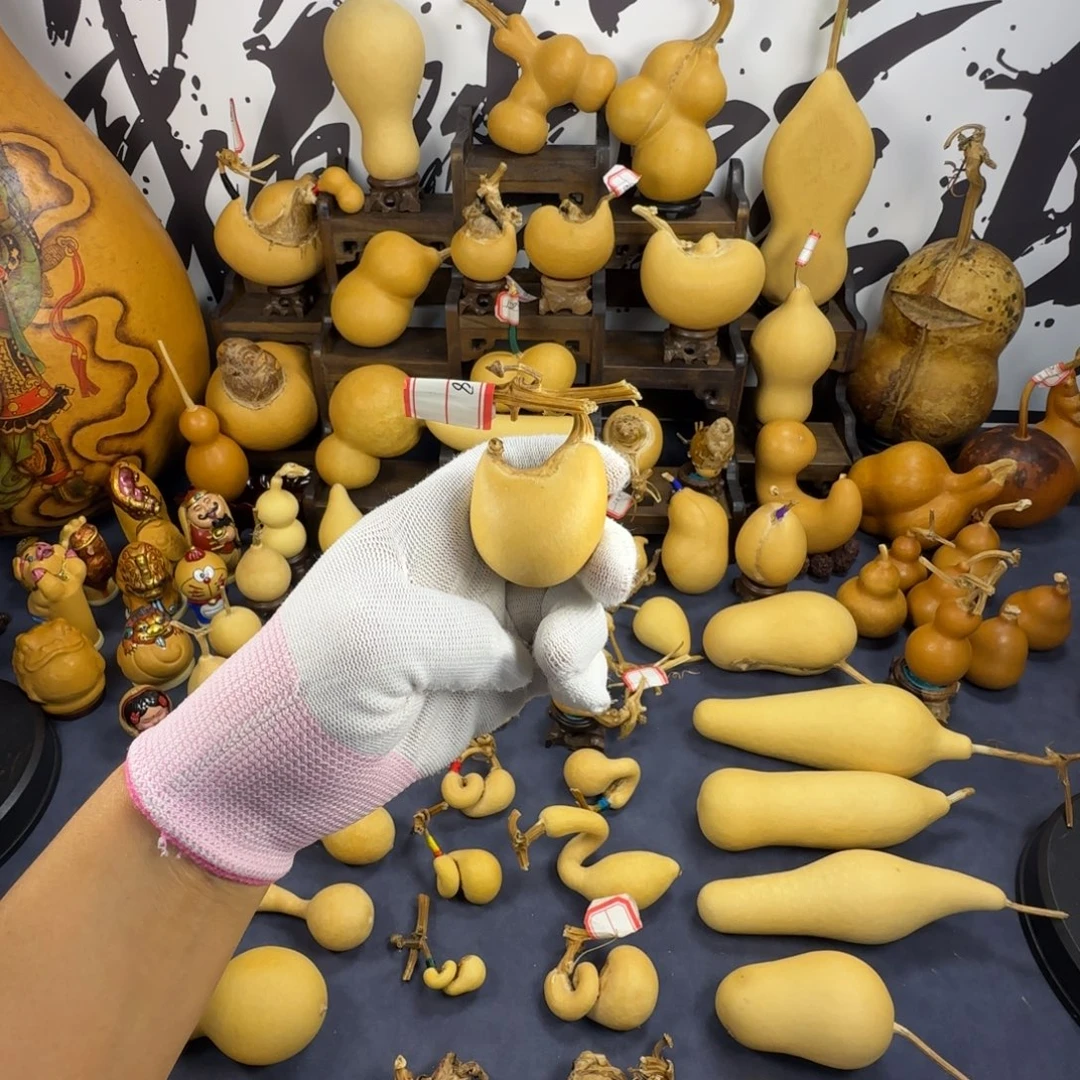 老***大葫芦葫芦葫芦葫芦葫芦葫芦