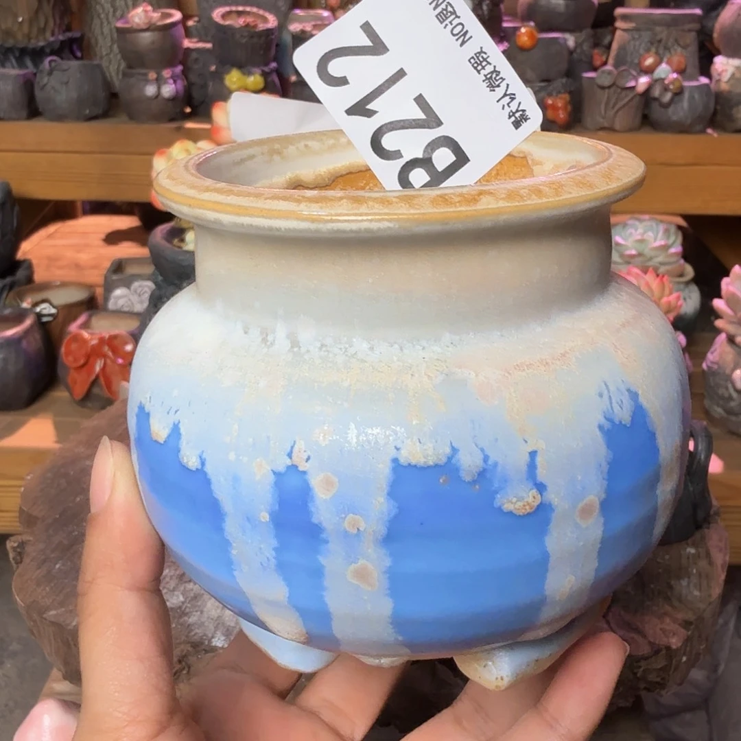 重庆小燕子欢迎大家212