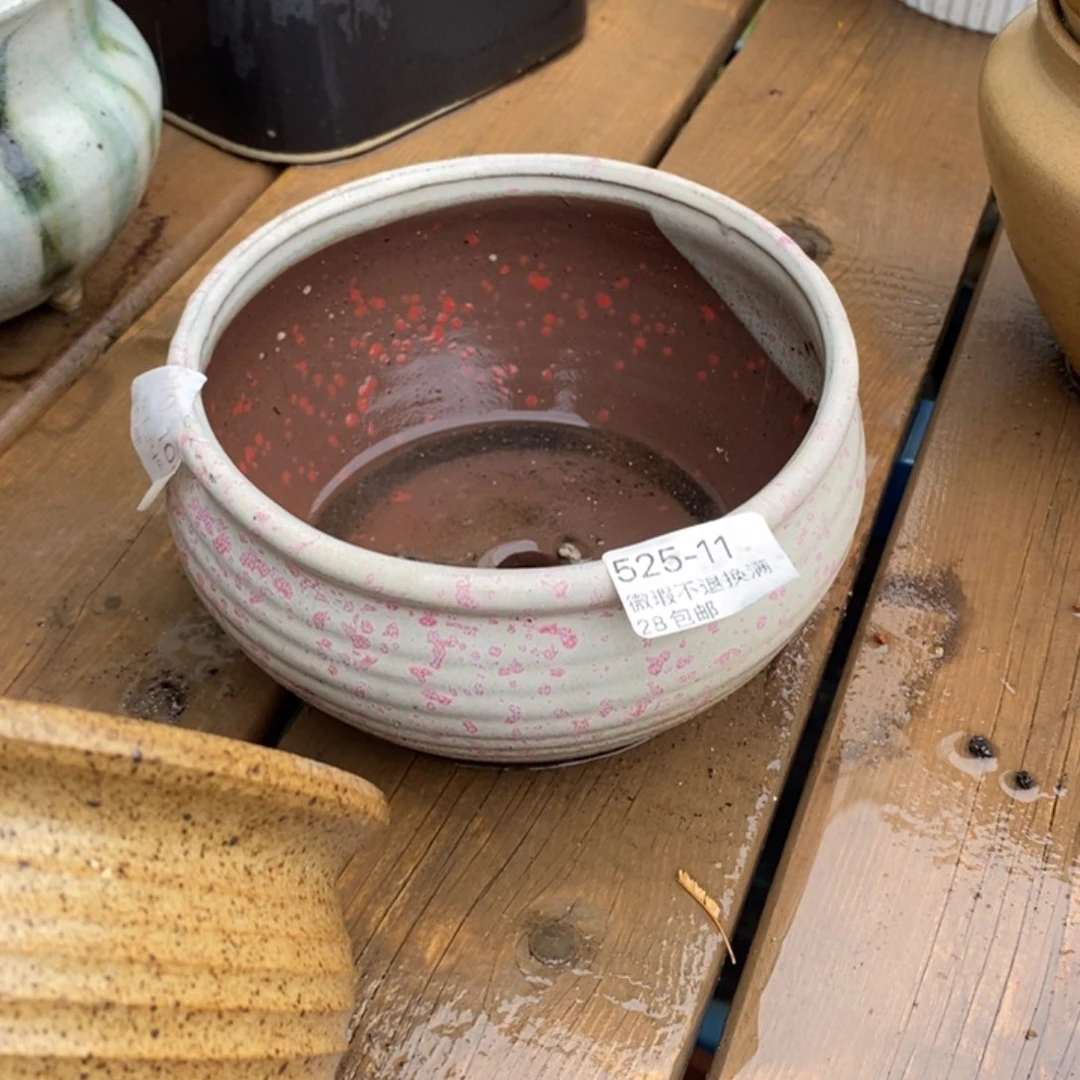 11号多肉盆口径13