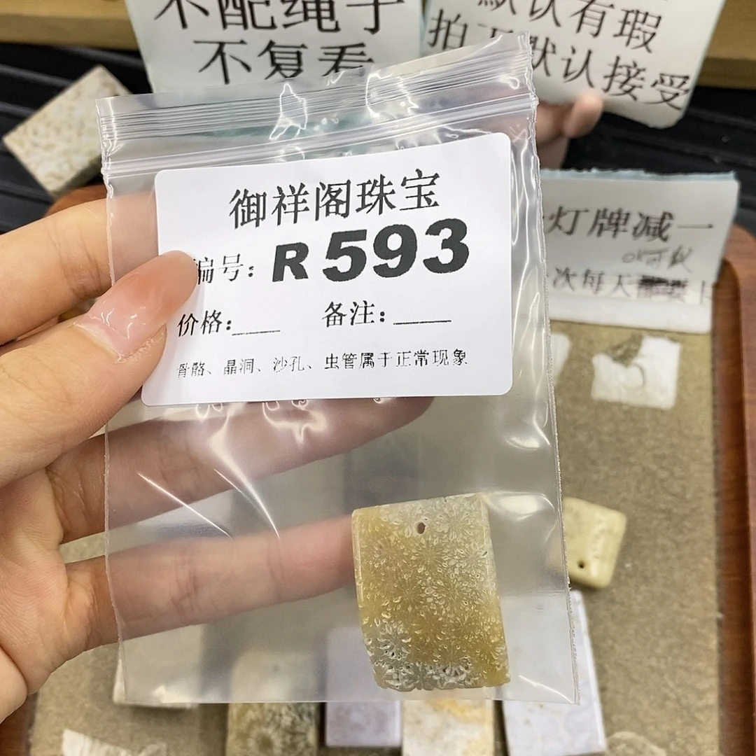 硅化珊瑚（珊瑚玉）未镶嵌颈饰盏*