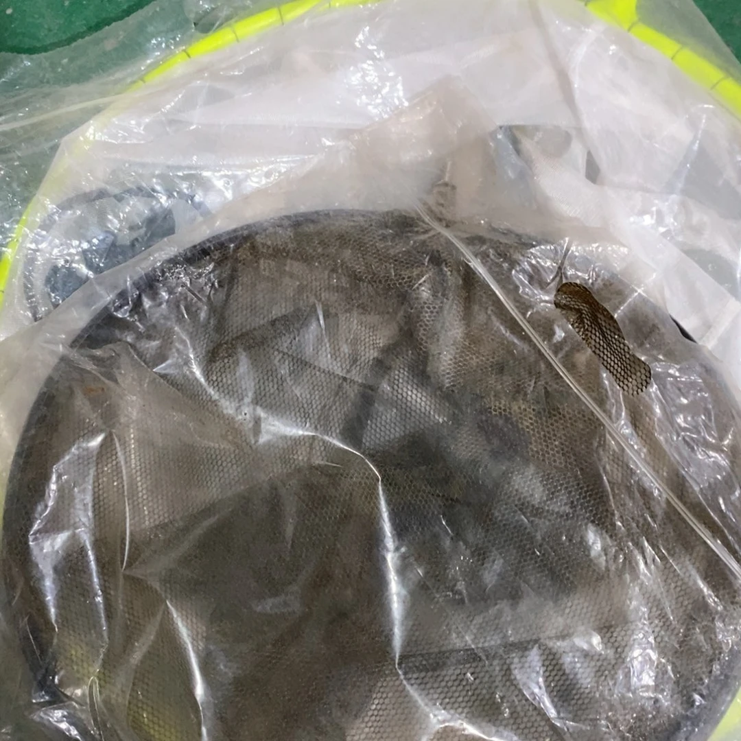 网头2个，，，，，，，，，，，，，，