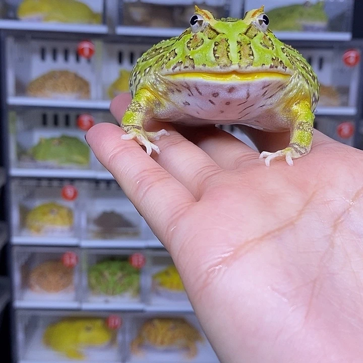 特价秒杀活动的价格