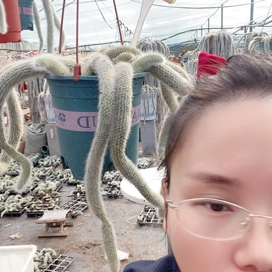 3933来咯哦我小心翼翼