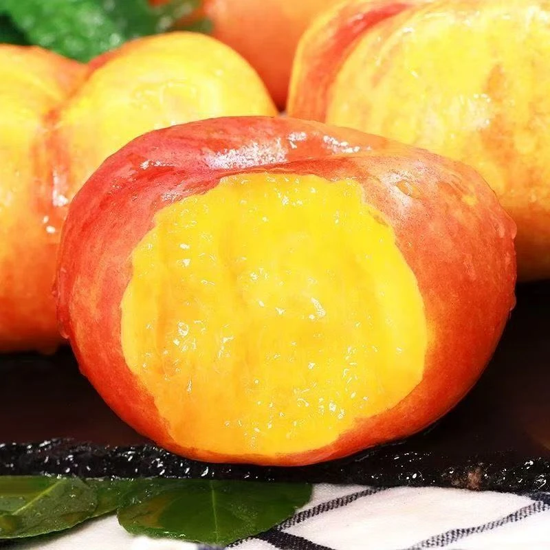 [顺丰包邮]彩虹油蟠桃硬吃脆甜软吃顺丰发货多汁