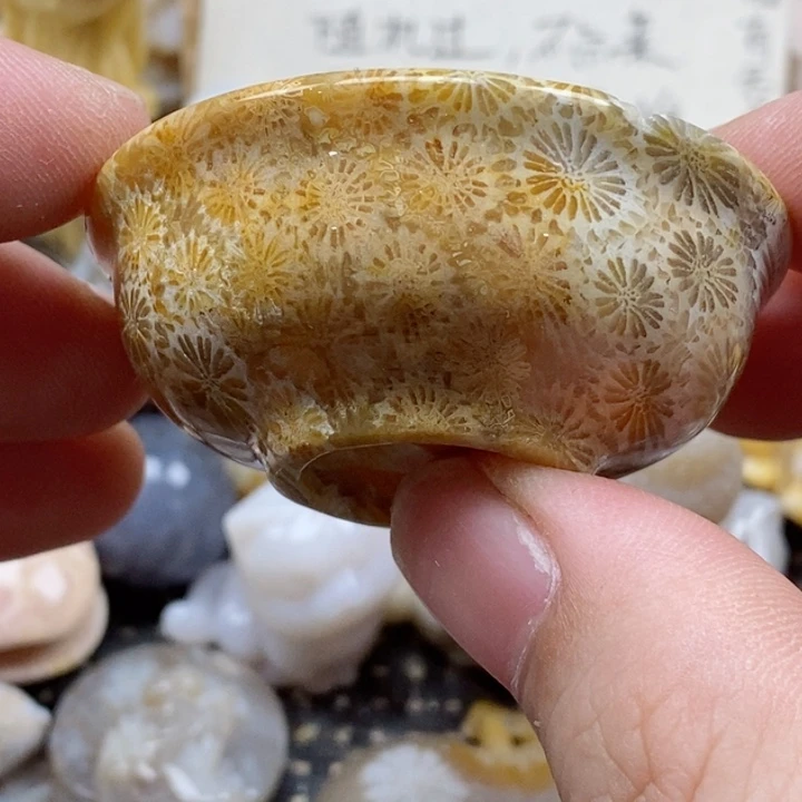 颈饰未镶嵌硅化珊瑚（珊瑚玉）