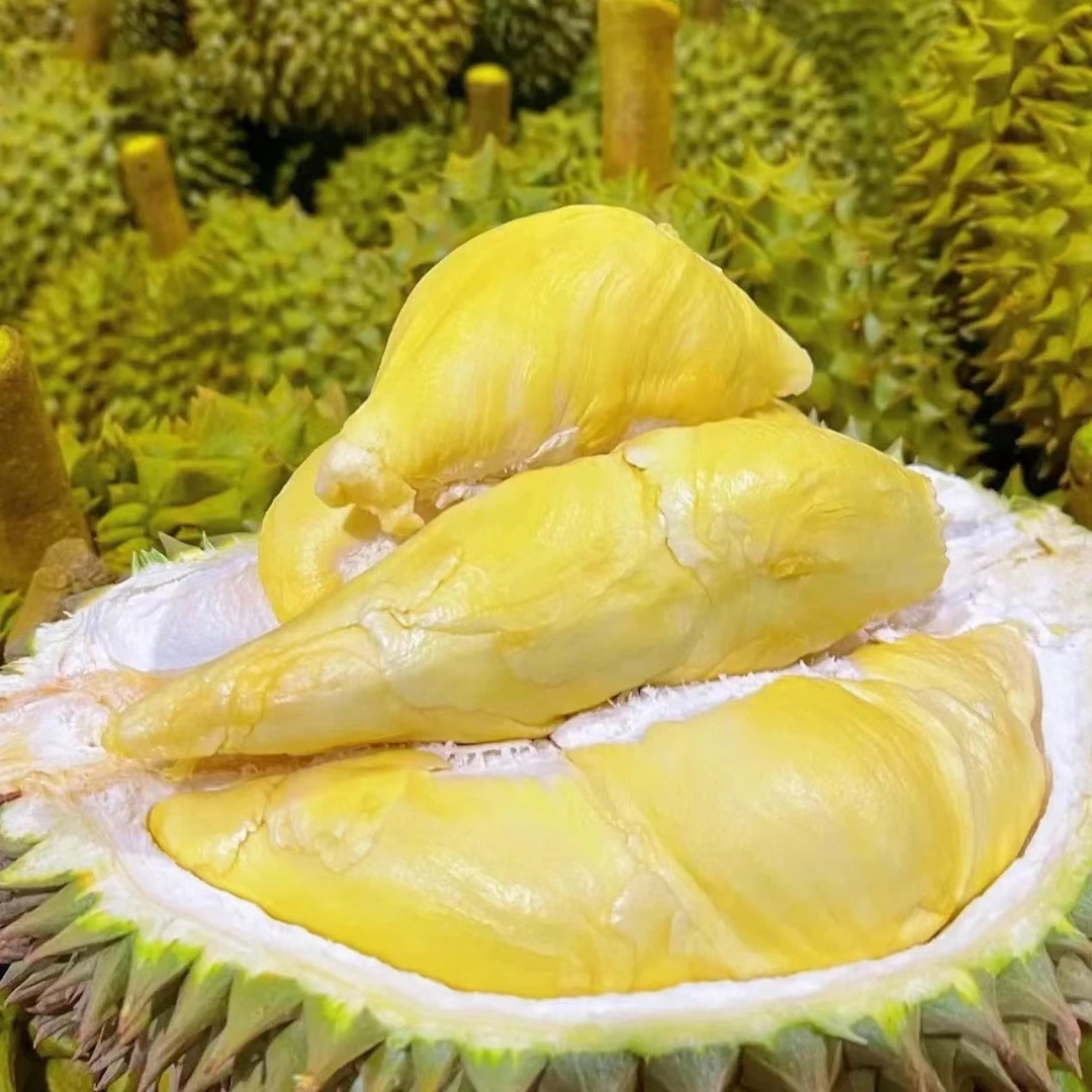 DS【A果】一物一拍泰国金枕榴莲路途10-15%水分重蒸发榴莲勿生切
