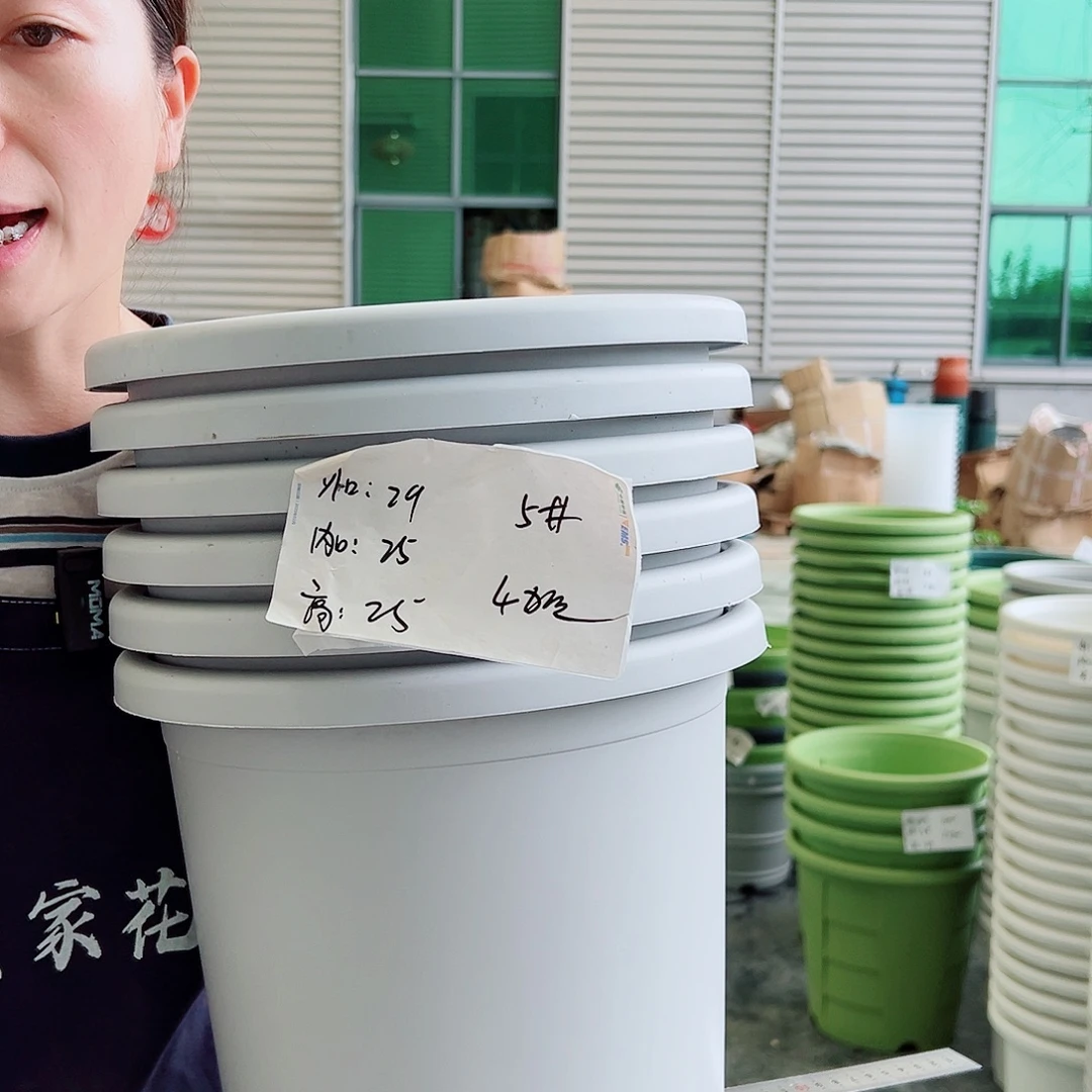 四季盆5#灰白6个无托