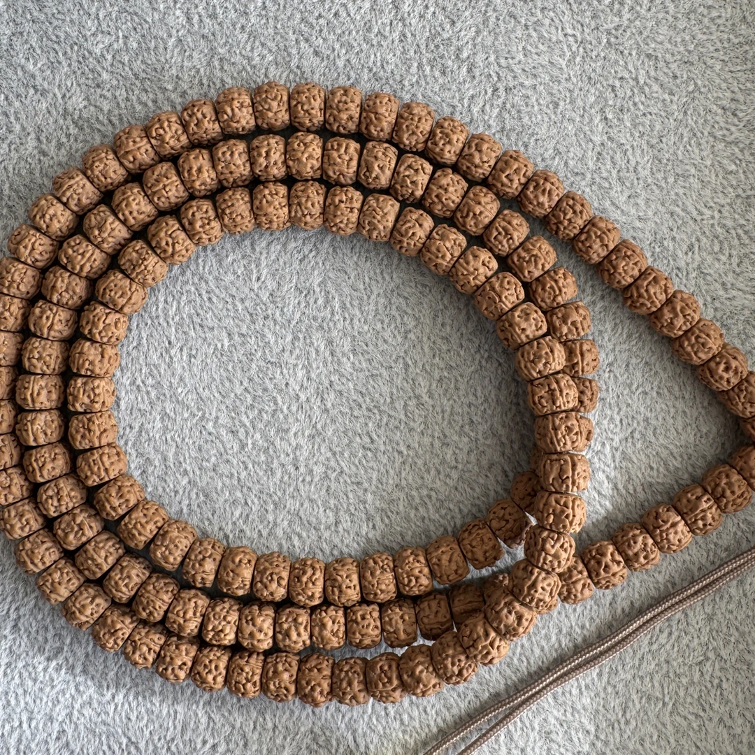 嫁接盘龙纹小金刚，7.5mm左右