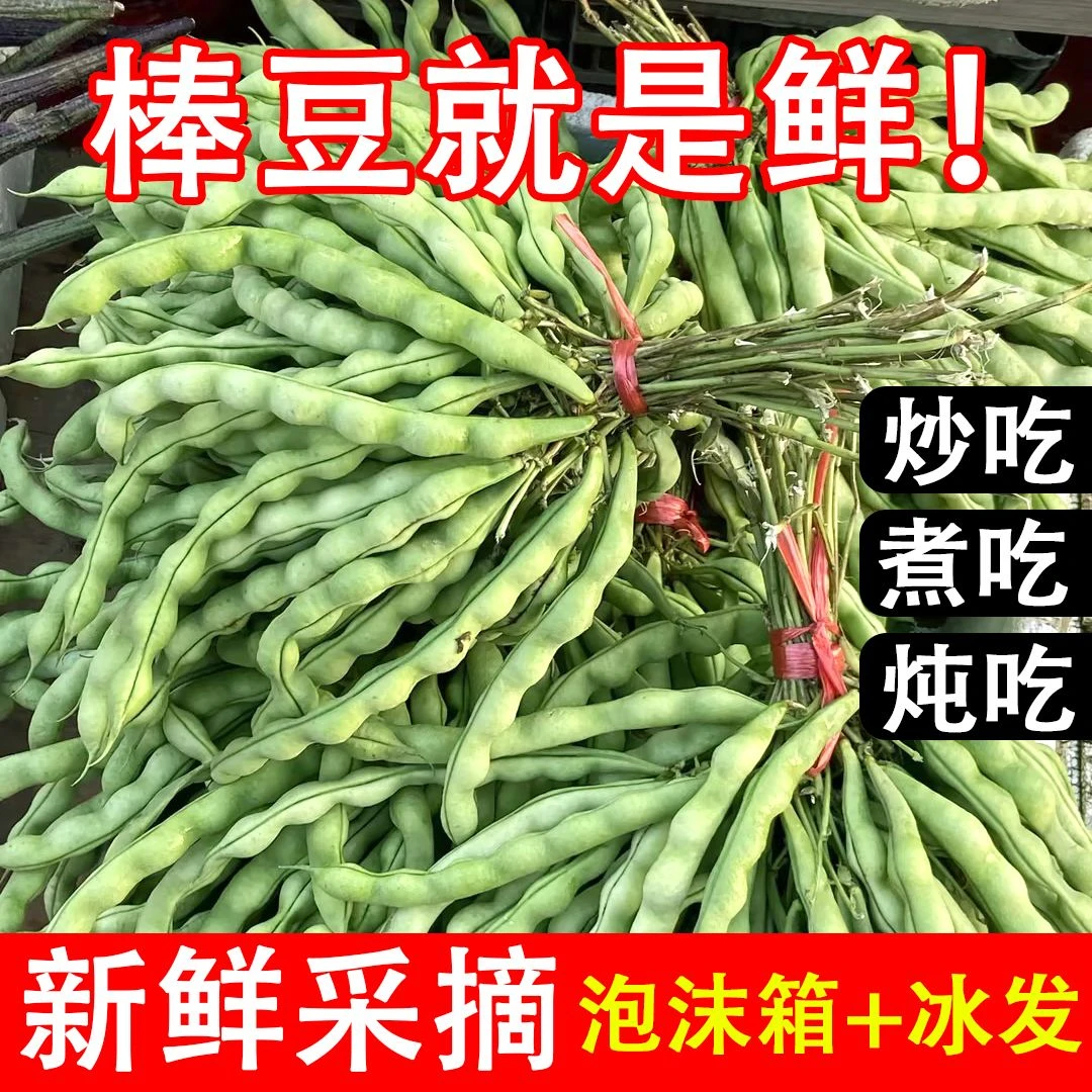 贵州农家自种新鲜四季豆棒豆芸豆时令蔬菜