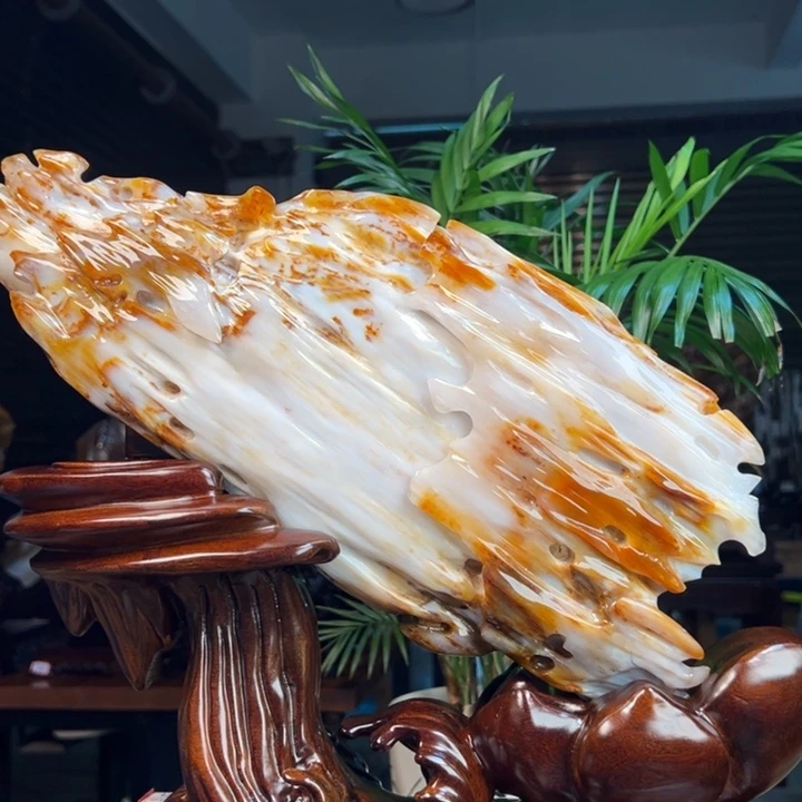 硅化玉（树化玉）未镶嵌珠宝奇石