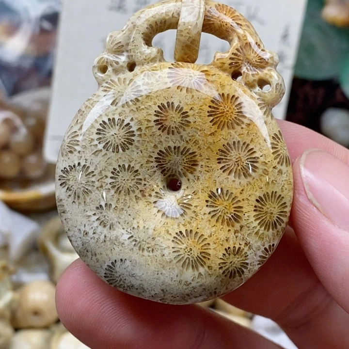 硅化珊瑚（珊瑚玉）未镶嵌颈饰