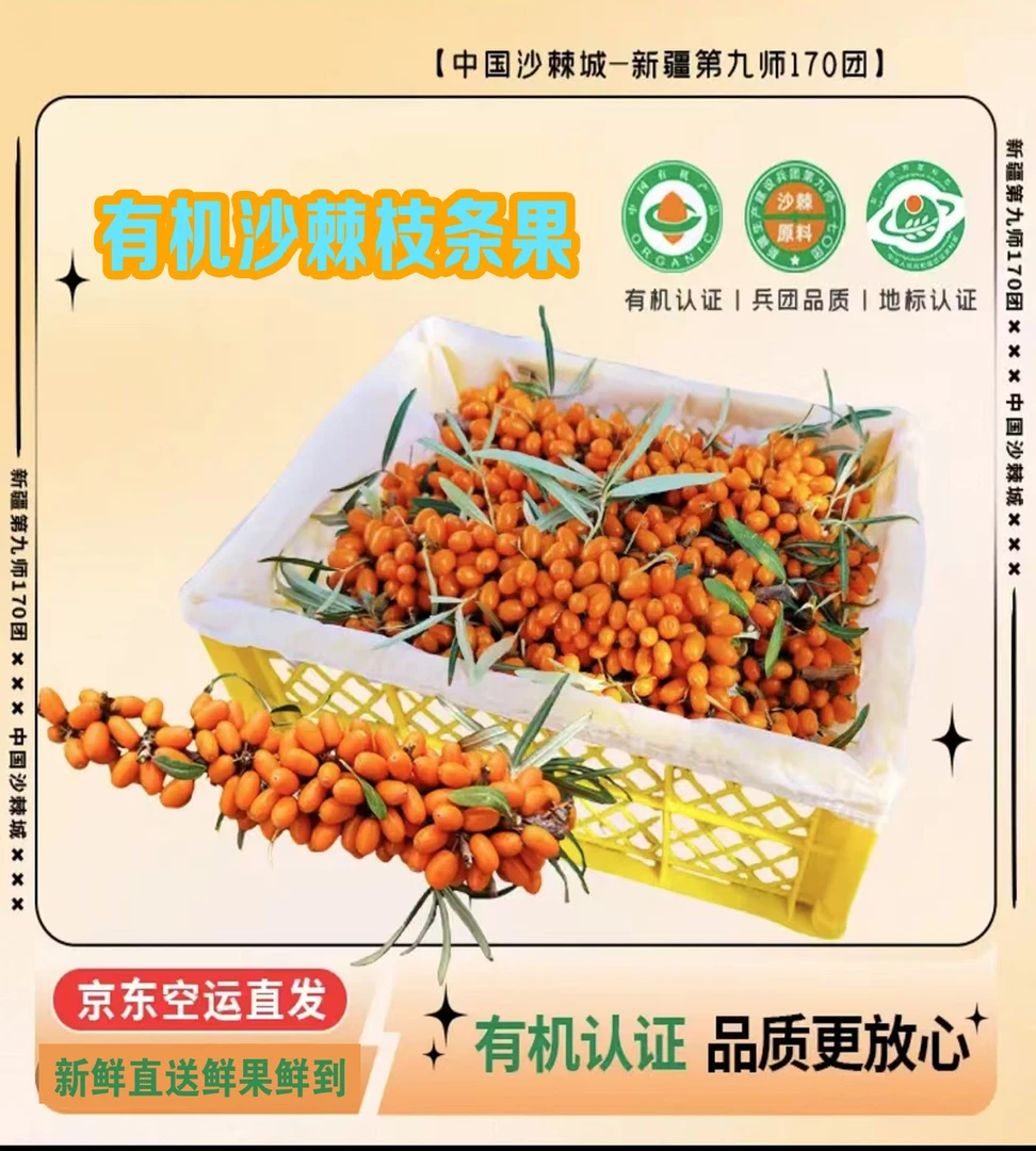 新疆170团有机新鲜沙棘大果(三斤/框带枝条带叶)