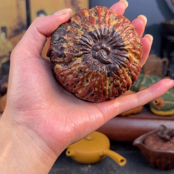 好好我要和他们玩去