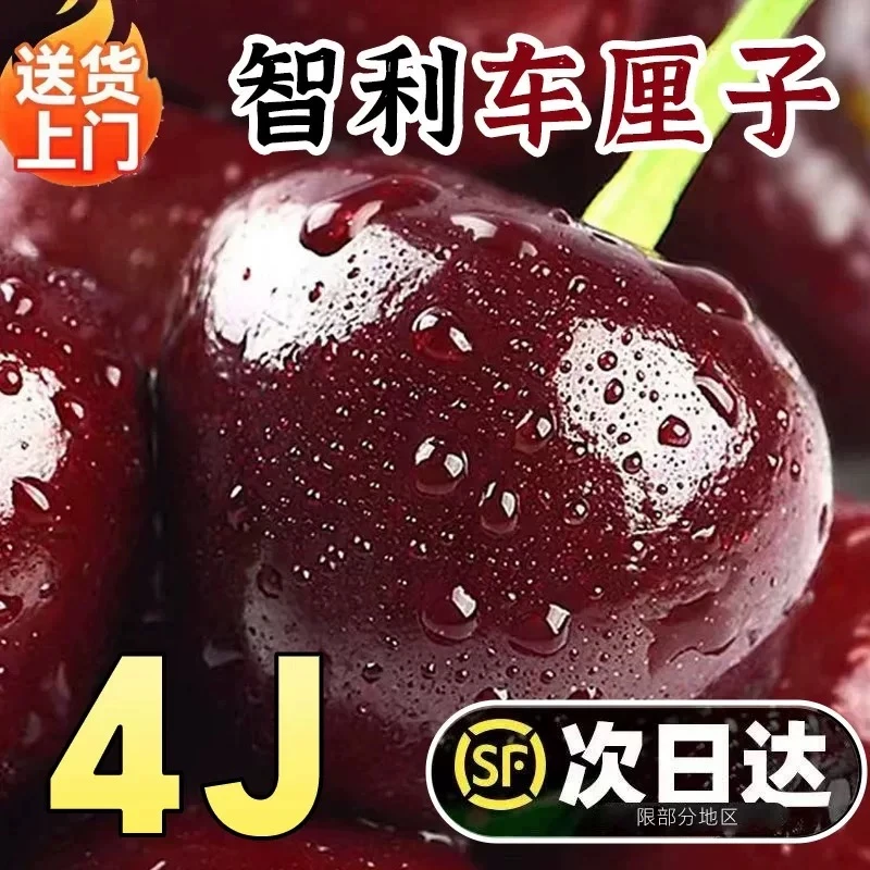 4JD果王【今天拍明天到】智利空运桑提娜SANTINA车厘子【次日达】内附果径卡新鲜硬脆800gZB桑提娜樱桃智利共和国