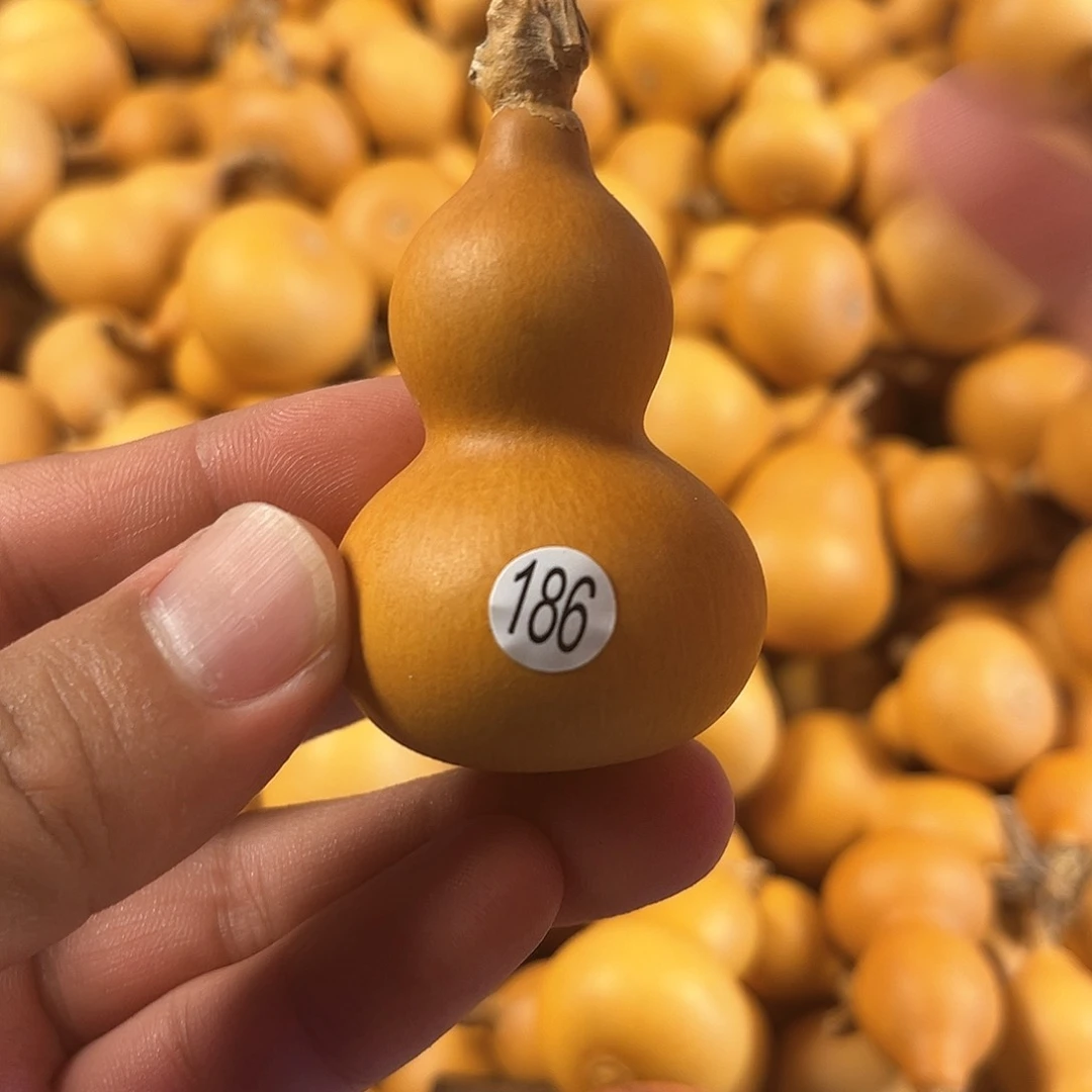 三葫芦葫芦葫芦葫芦186